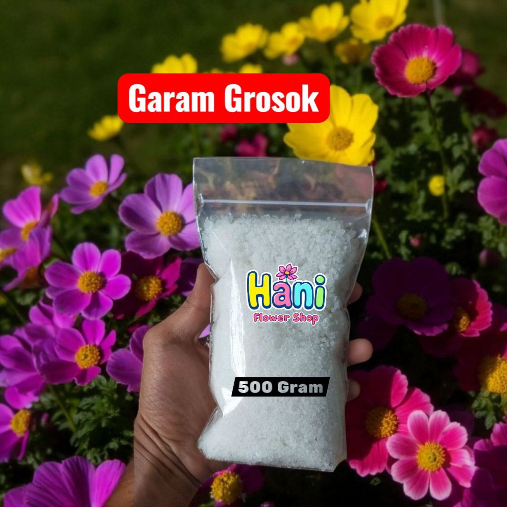 

GARAM KROSOK - GARAM LAUT 500 GRAM