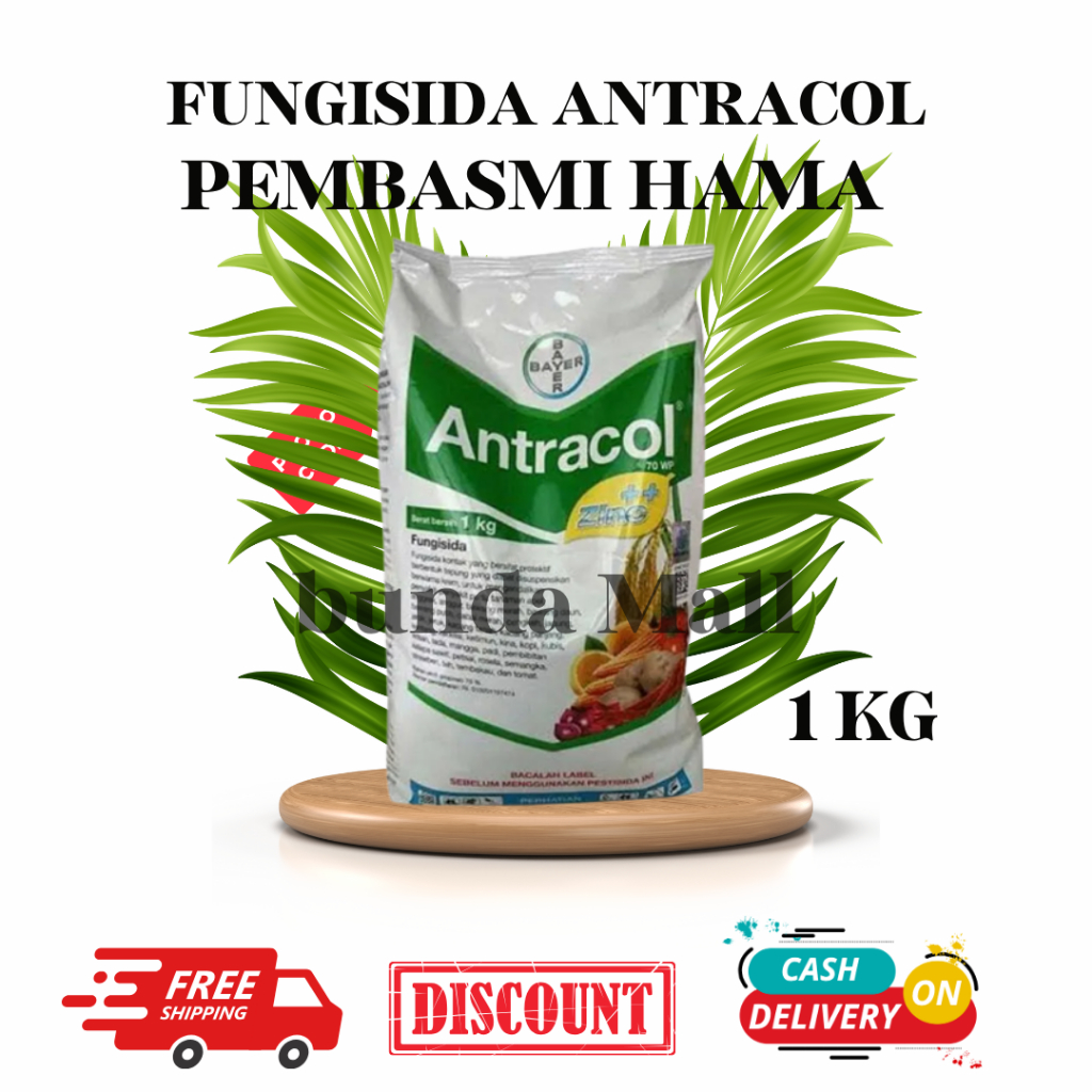 FUNGISIDA ANTRACOL 1 KG ORIGINAL