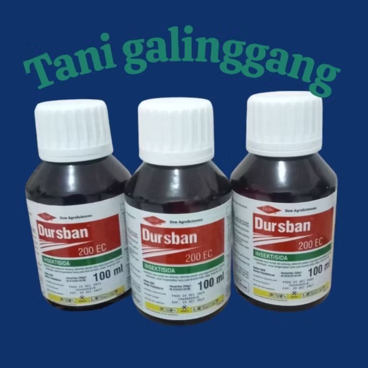 INSEKTISIDA DURSBAN 200EC 100ML