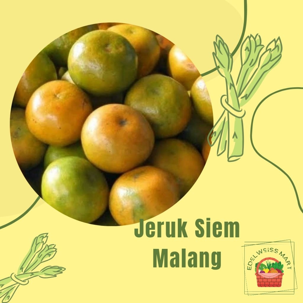

JERUK SIEM MALANG 1kg - INSTANT SEMARANG