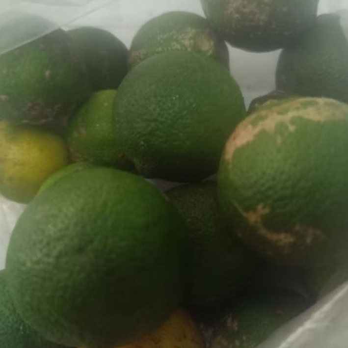 

asam Batak untuk ikan,sambal Tuktuk 250 gram