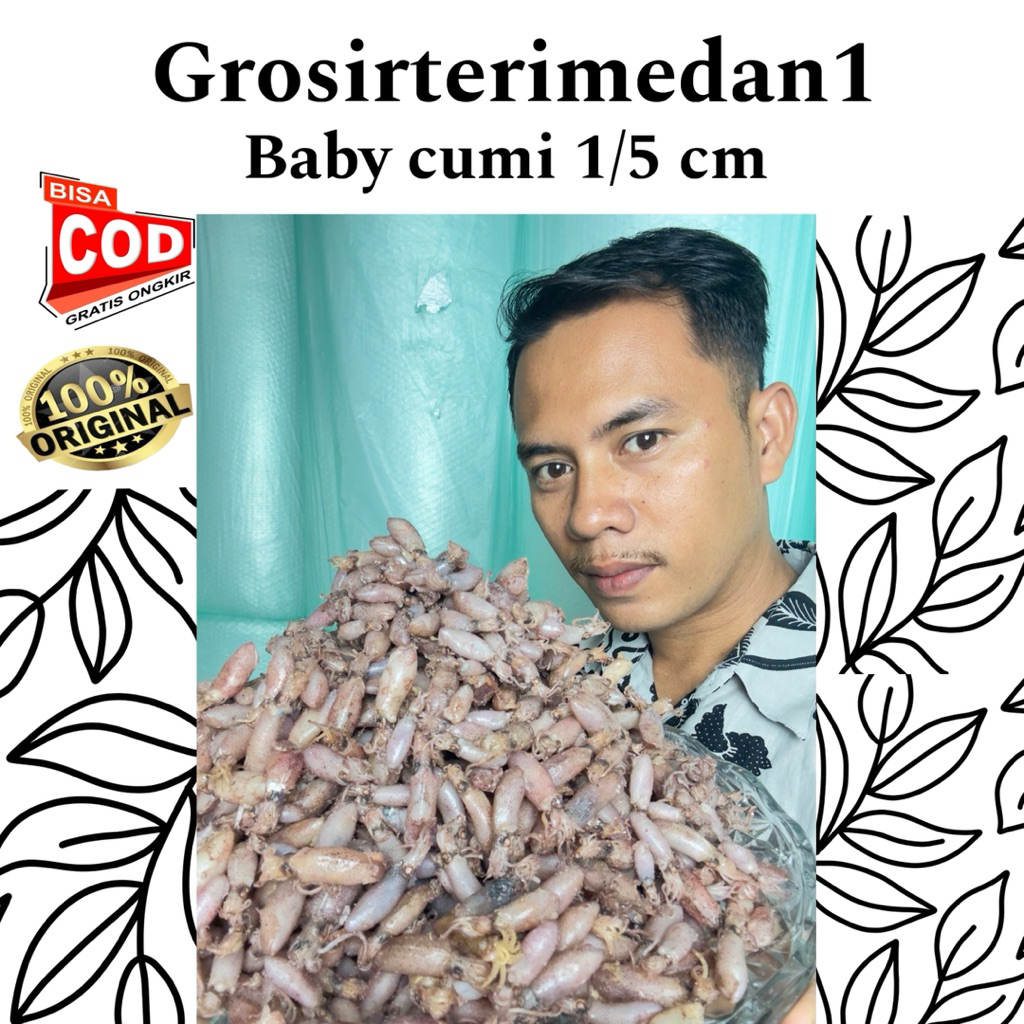 

Baby cumi 0,1 0,5 1 kg