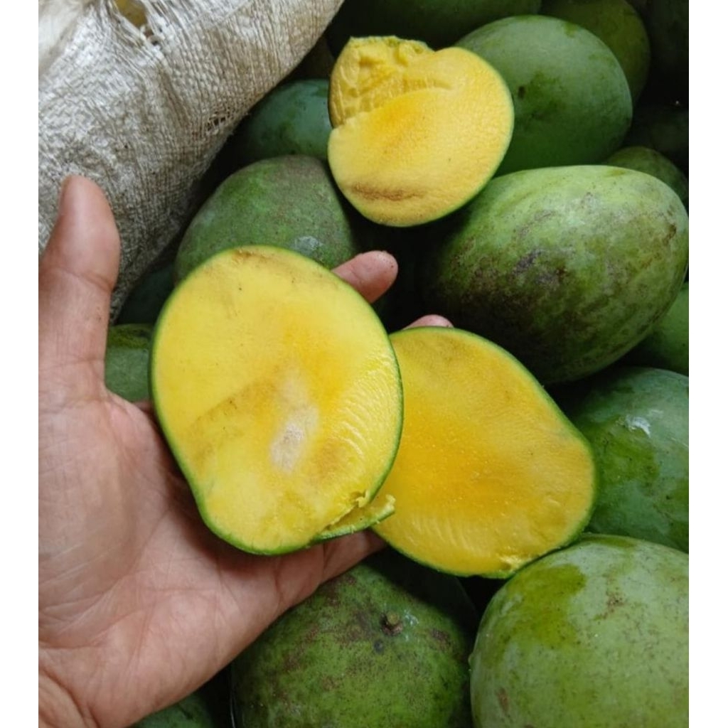 

Mangga manis 1kg