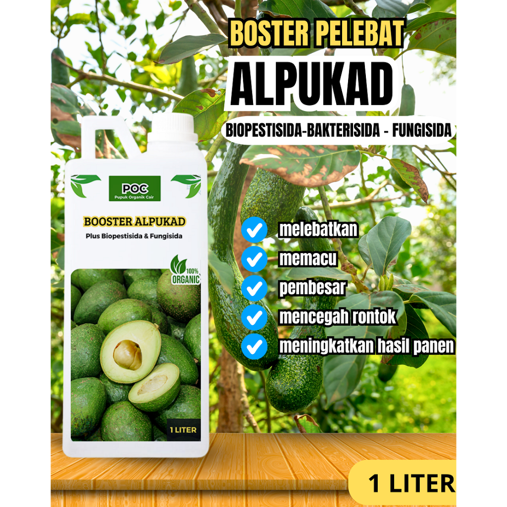 Pupuk Pelebat Buah Alpukat , Pupuk Untuk Tanaman Alpukat, Pupuk Cair Organik Untuk Alpukat