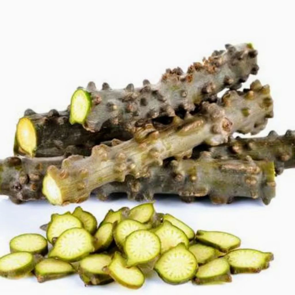 

batang batrawali segar 100 gram