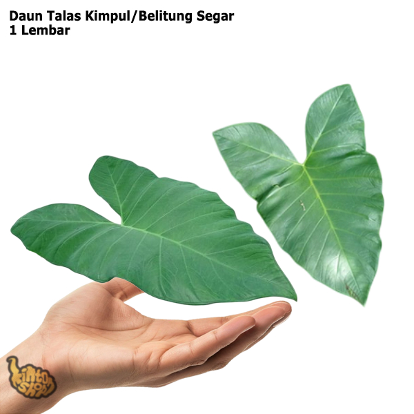 

Daun Talas Bogor Per Lembar 1 Helai Untuk Buntil