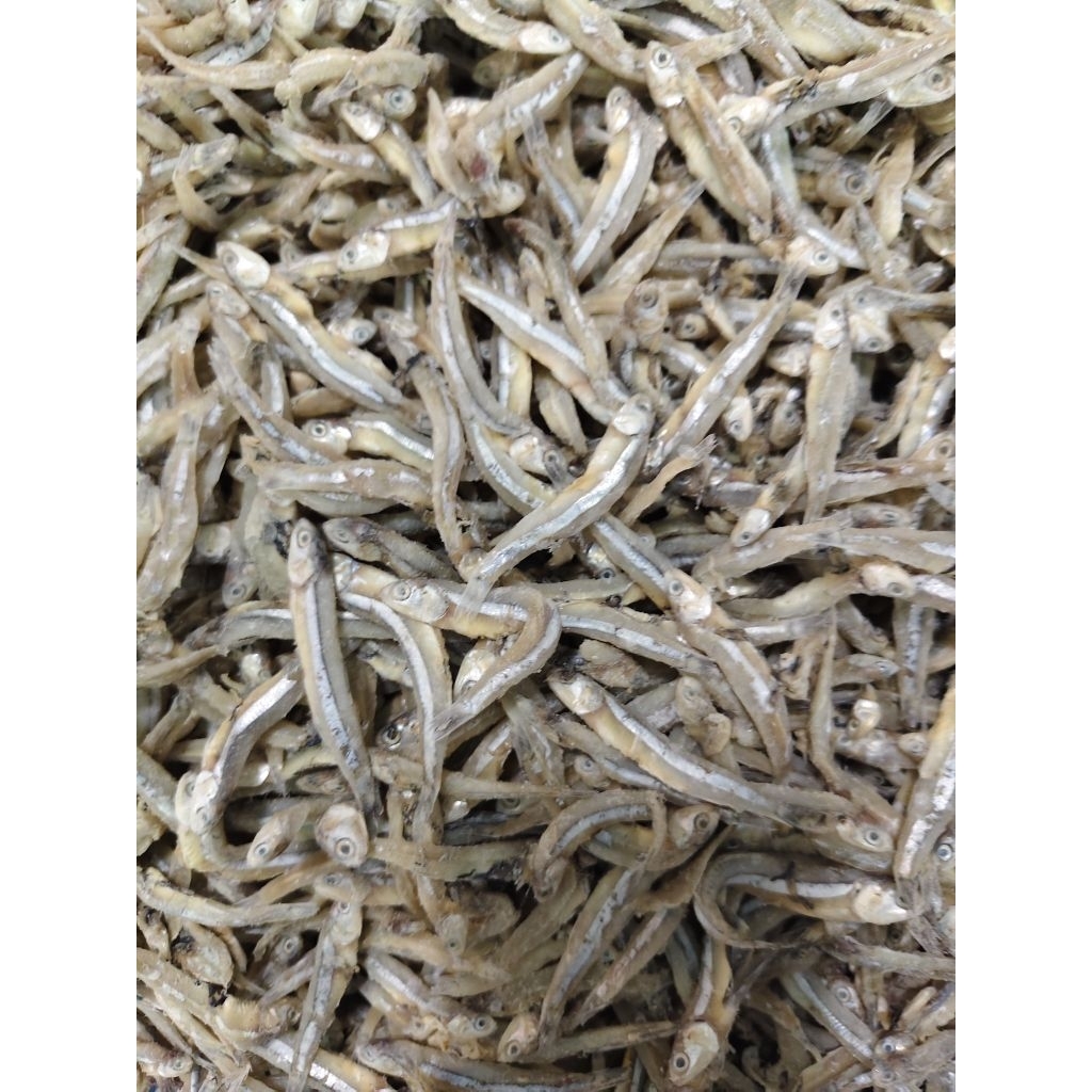 

ikan asin teri jengki murahhh keringgggg