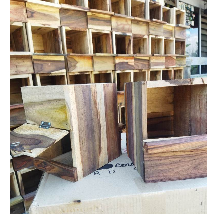 Glodok Murai Sarang Bertelur Burung Murai Rumah Glodok Lovebir Murai Pintu Belakang