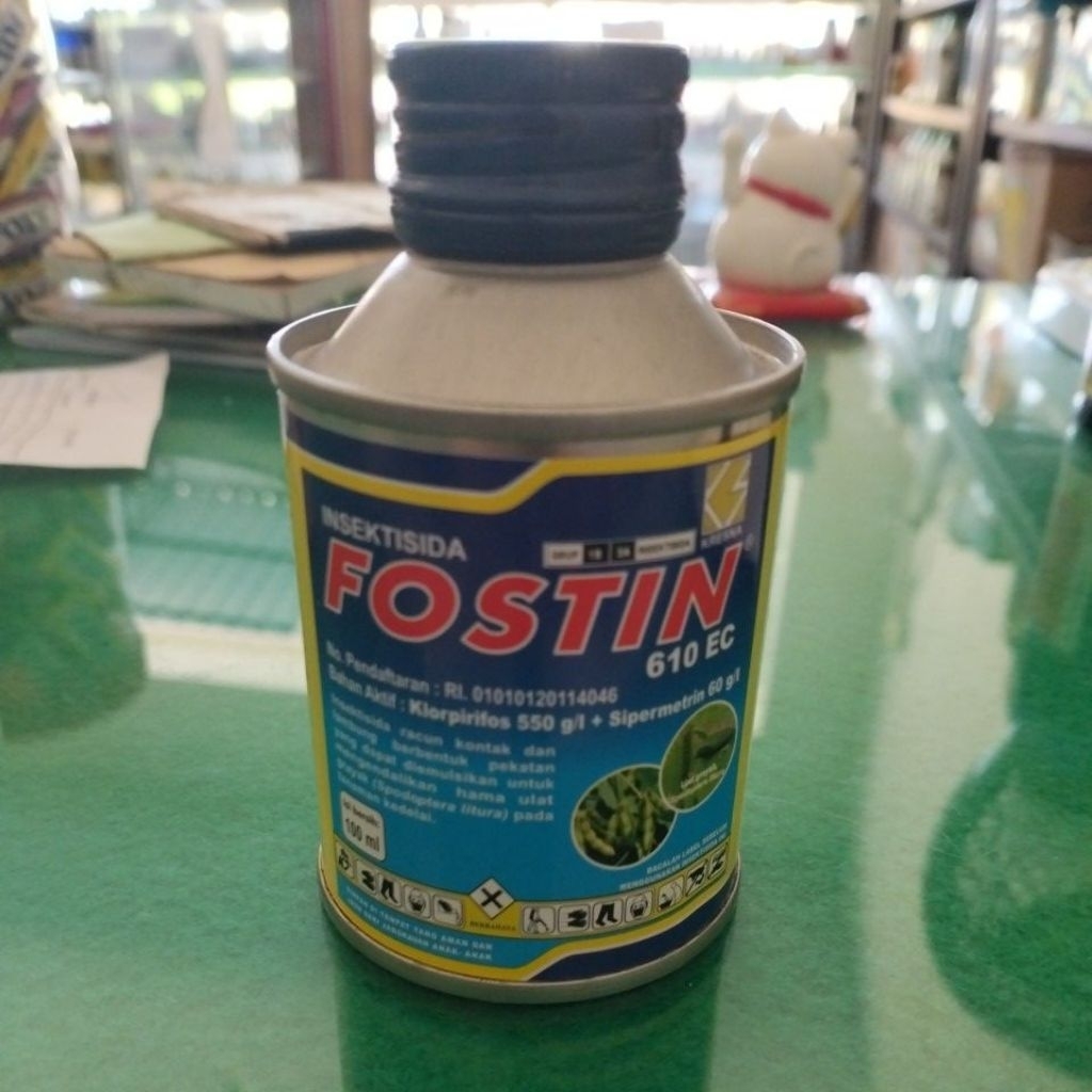 FOSTIN
