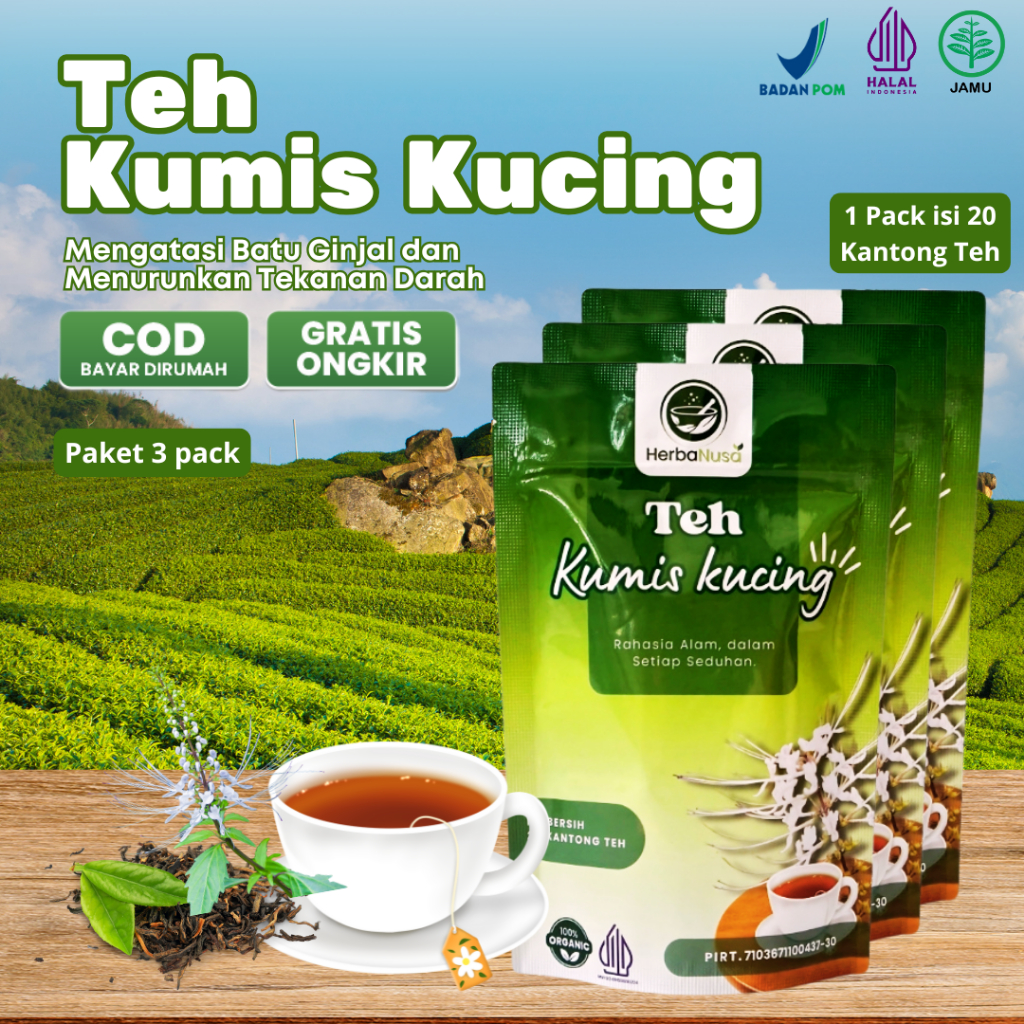 

TEH KUMIS KUCING [Paket 3 pack] - Teh Herbal Bantu Atasi permasalahan Infeksi Saluran Kemih HALAL