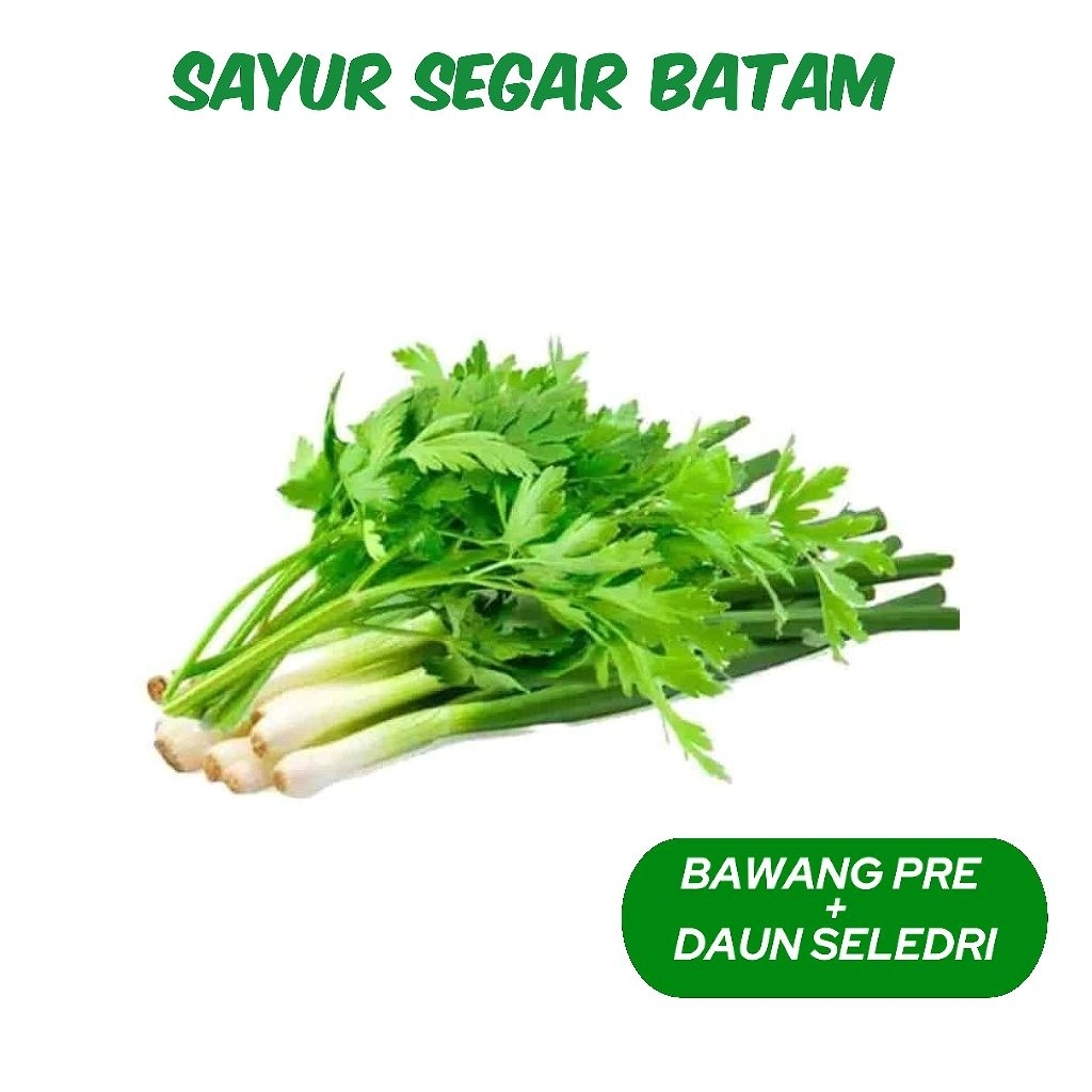 

Bawang Prei + Daun Seledri 1 Ikat - Sayur Segar Batam
