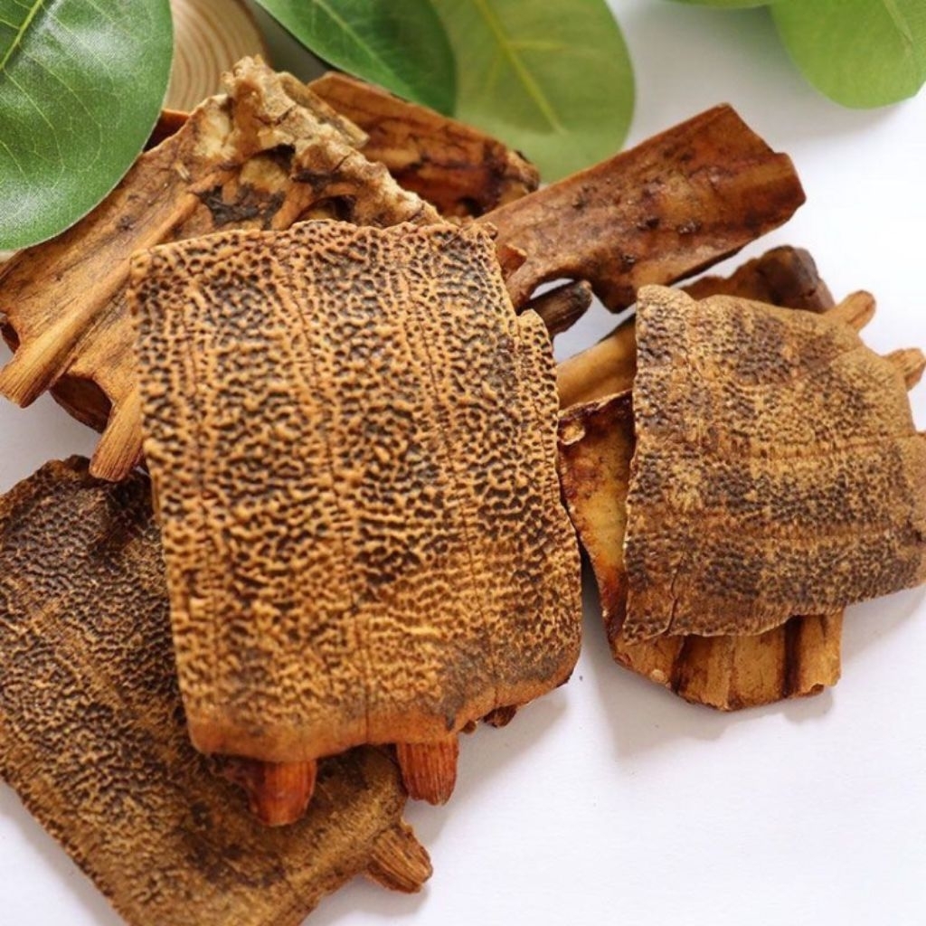 

100gr Chao Bie Jia 炒鱉甲 Trionycis Carapax / Stir Fried Turtle Shell / Carapax Trionycis / Turtle Carapace / Fresh Water Turtle Shell Processed Grade A