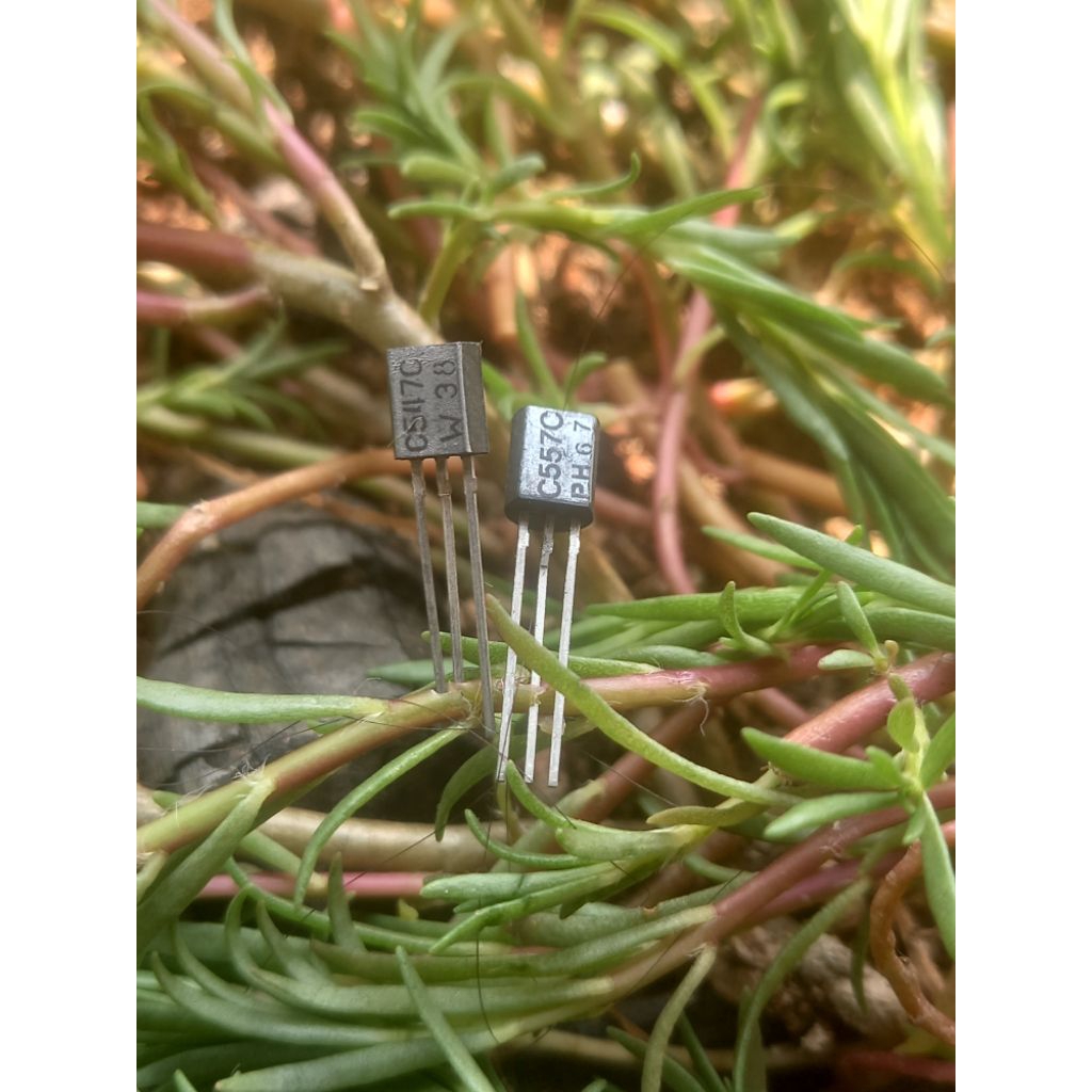 bc557 bc547 c557 c547 Nos orginal philips harga untuk satu pasang