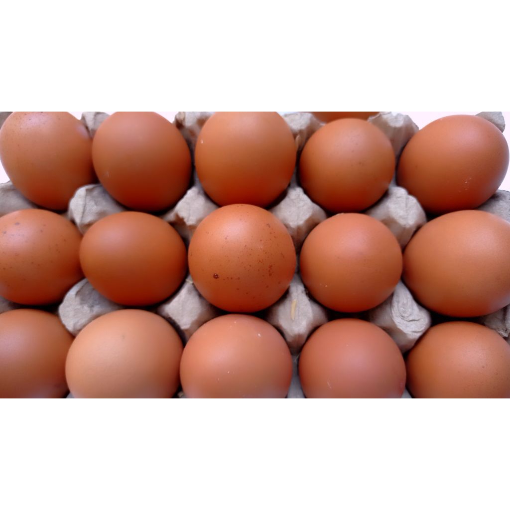 

Telur ayam fresh,Telur Ayam Segar,Telur Ayam konsumsi