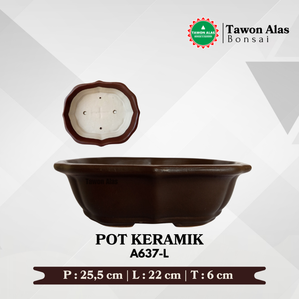 Pot Bonsai Keramik Unik Mame Sukulen / Pot Bonsai Keramik Ukuran L