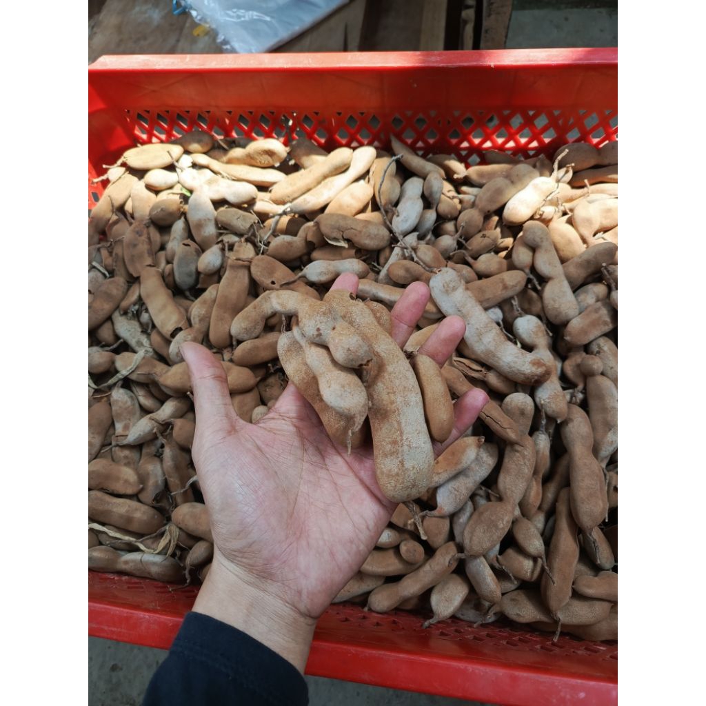 

Asam Jawa Glondongan 500 gr