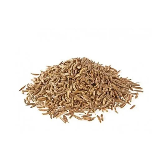 

Jinten Rempahlu 100g | Bumbu Dapur Aromatik, Segar, dan Berkhasiat