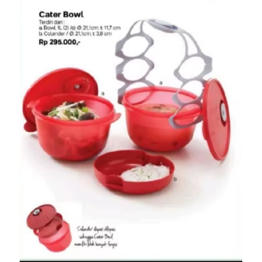 Carry All Bowl Tupperware