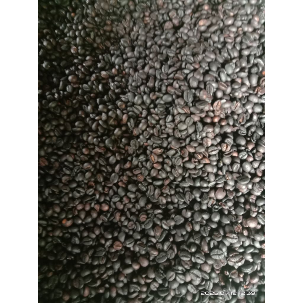 

bijikopi