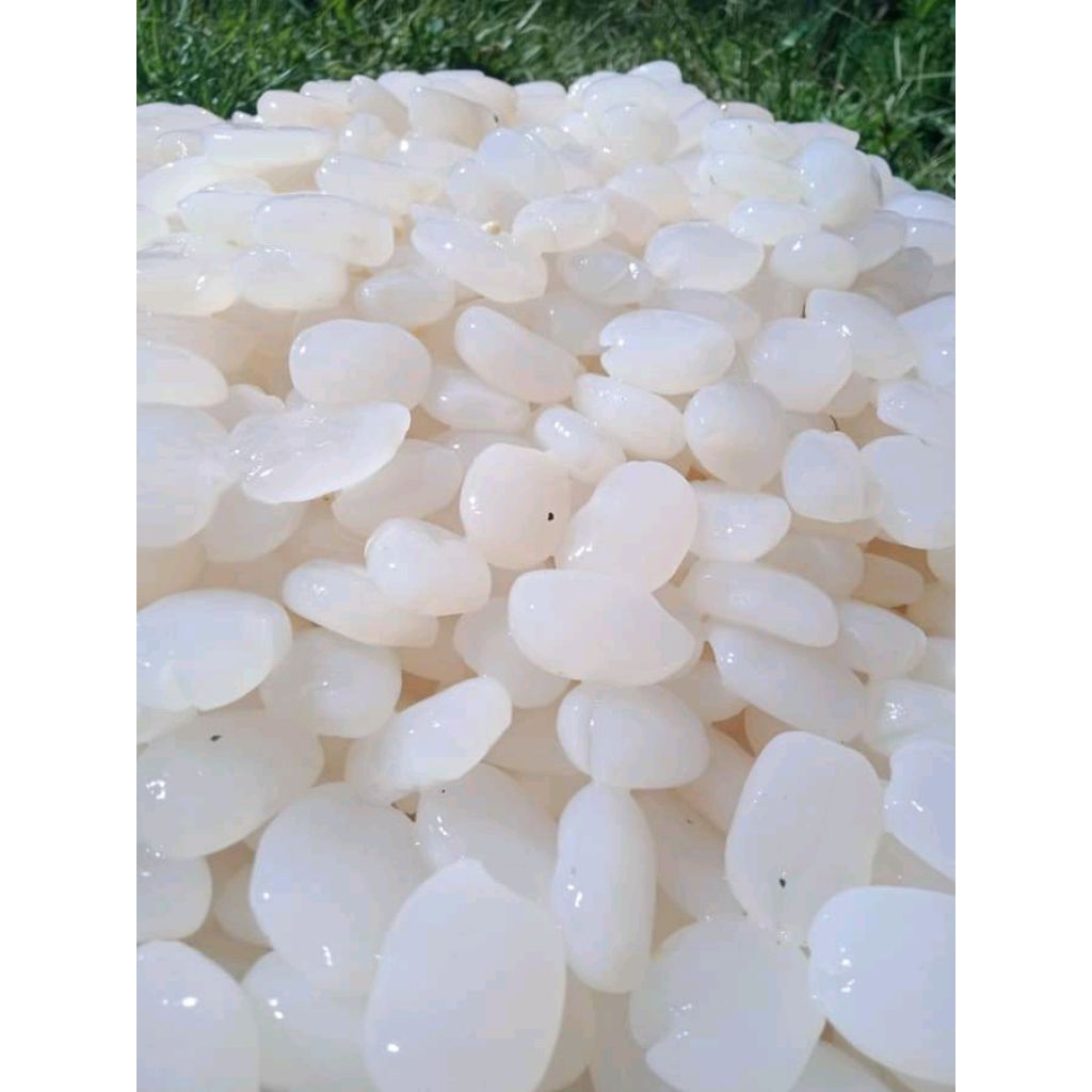 

kolang kaling seger 1kg caruluk fresh 1kg