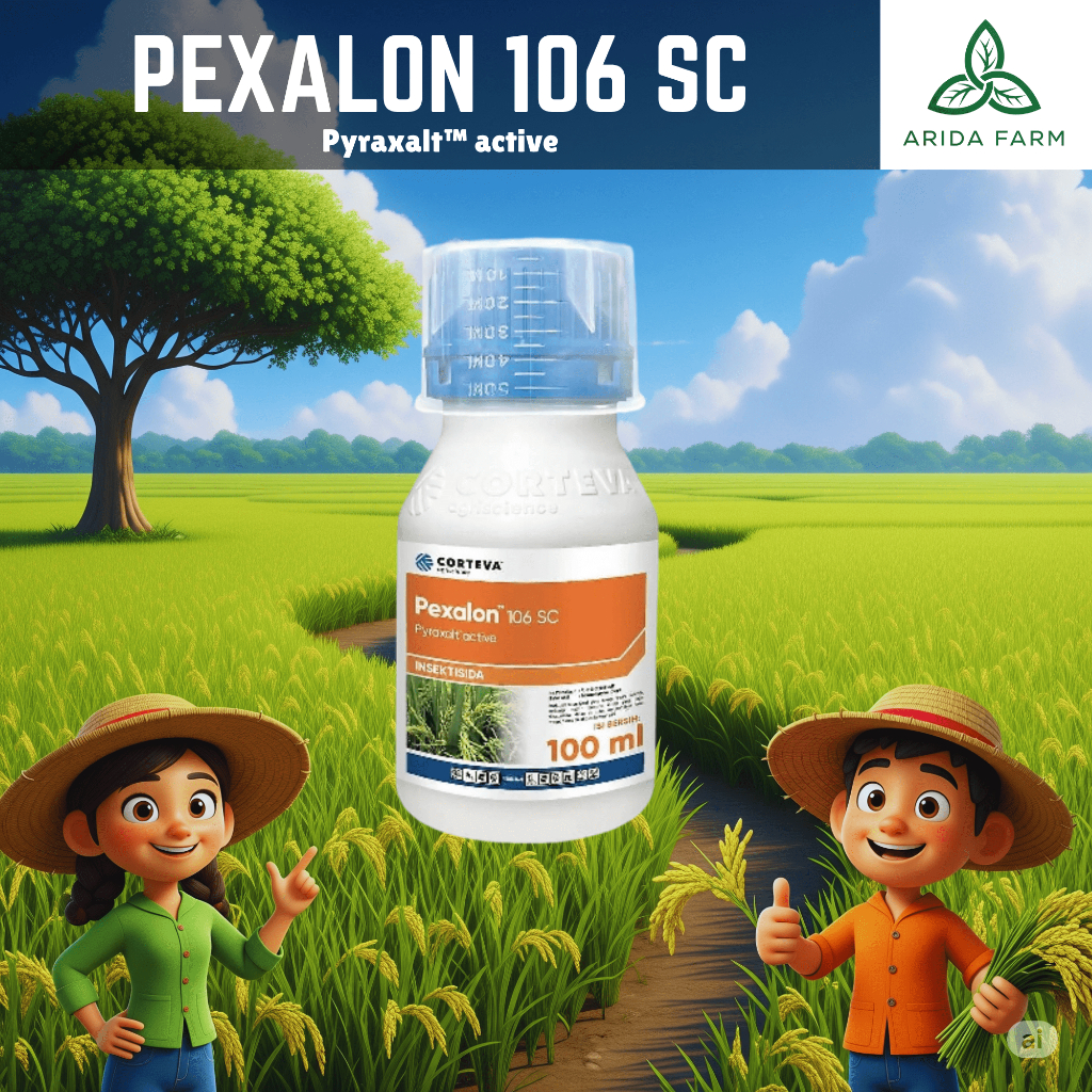 PEXALON 106 SC // INSEKTISIDA Solusi Tuntas Wereng Padi // Corteva