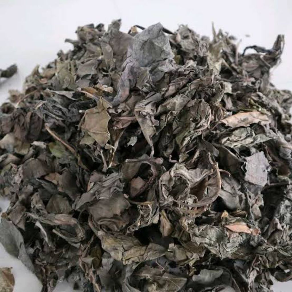 

Daun Mengkudu Kering 100 gram Original Morinda