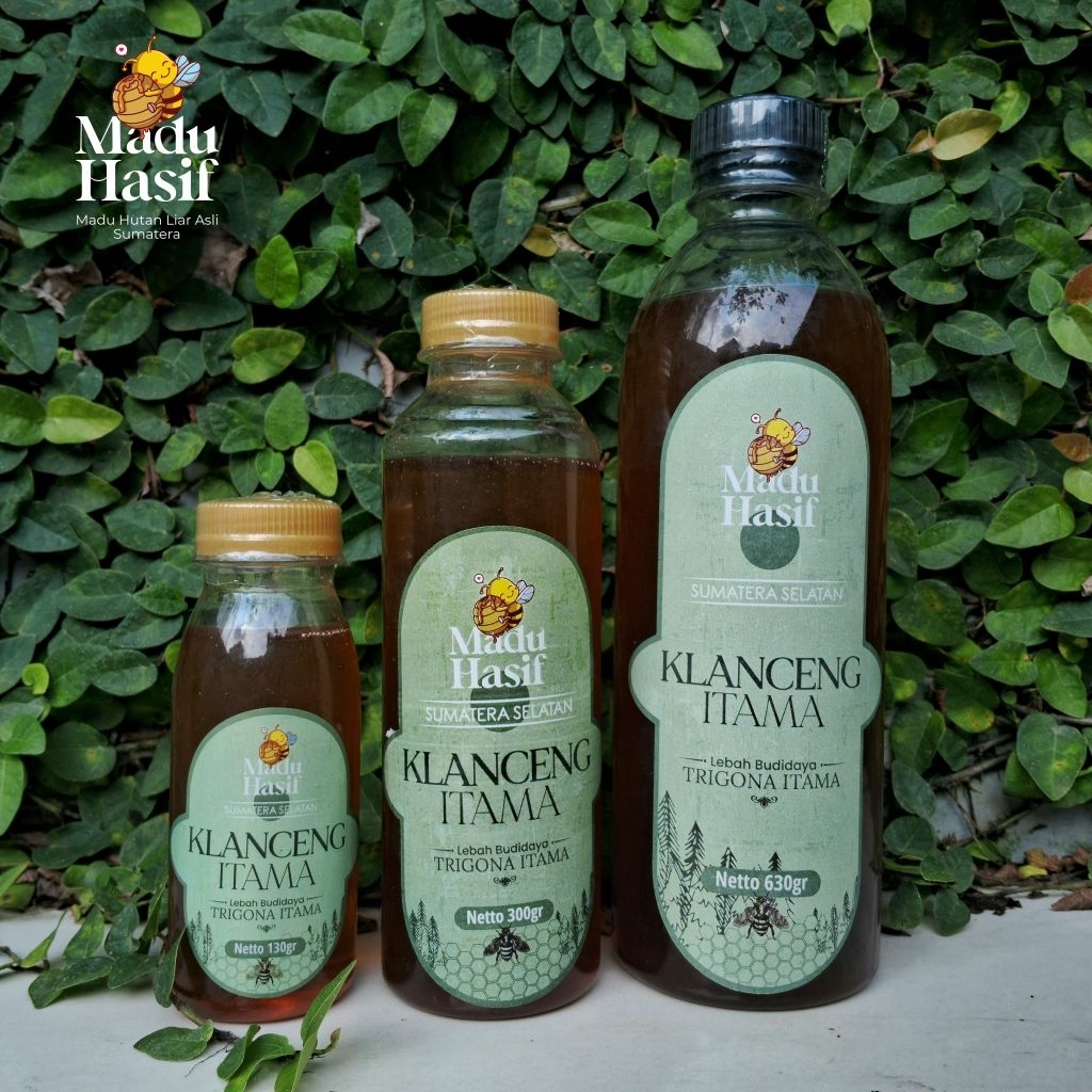 Madu Klanceng Lebah Trigona