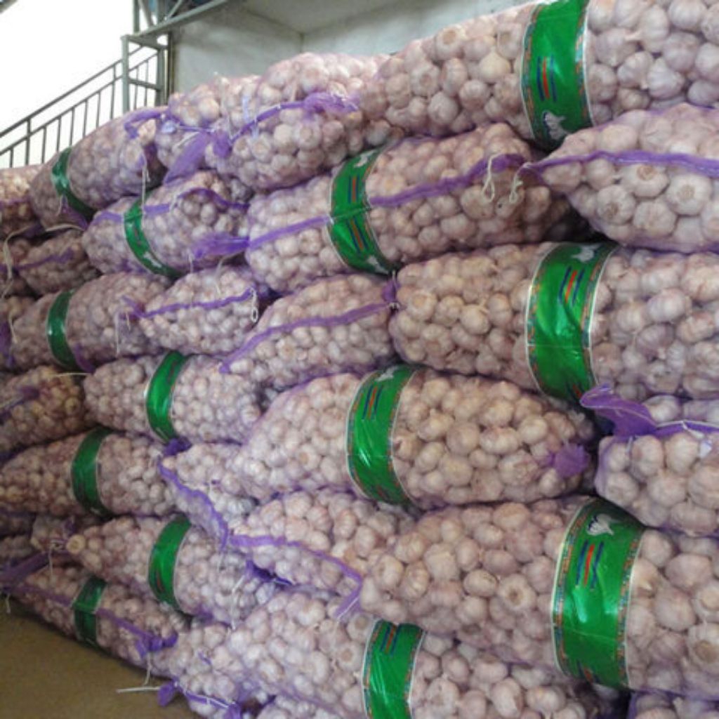 

Bawang Putih Sinco Isi 1Kg
