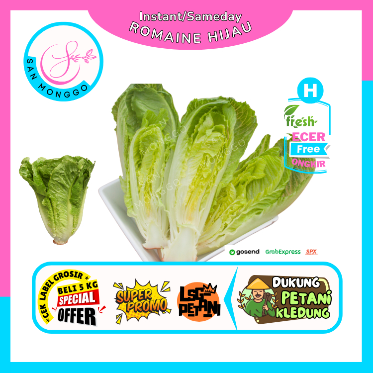 

Sanmonggoo >> Romaine Hijau / Selada Romaine / Romen -- Hasil Bumi Sindoro Sumbing Ecer (H)