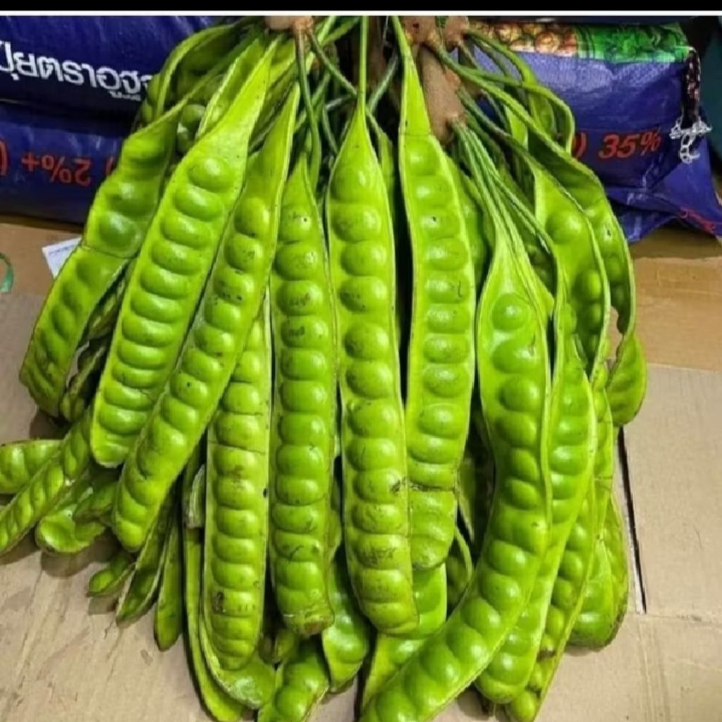 

ready buah petey Segar fres ikat