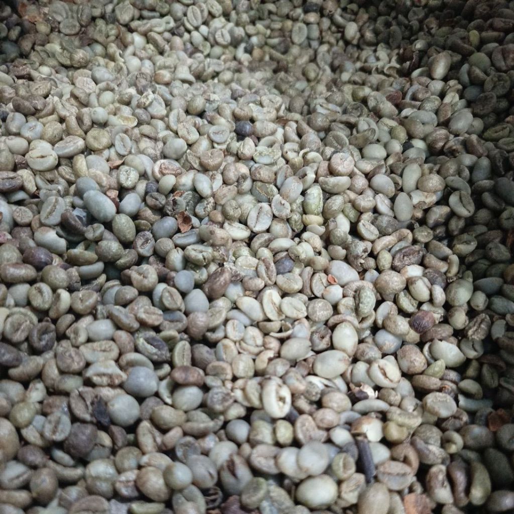 

Kopi Robusta Biji TANGGUNG