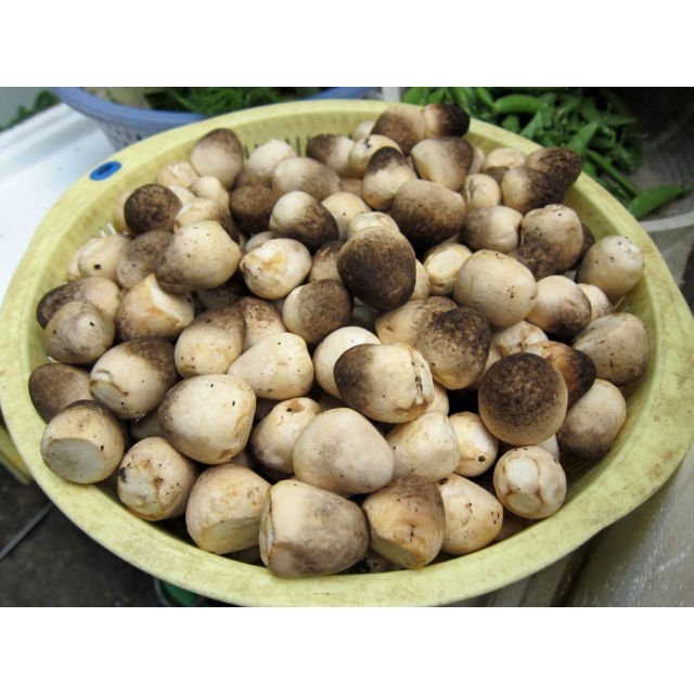 

Jamur Merang 250 gram