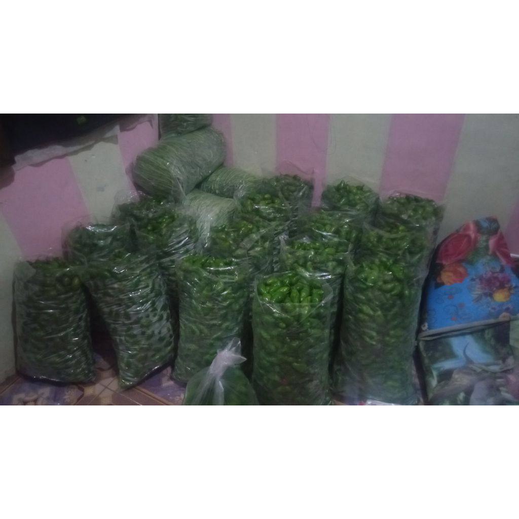 

bendot / gendot super garut. harga / kg