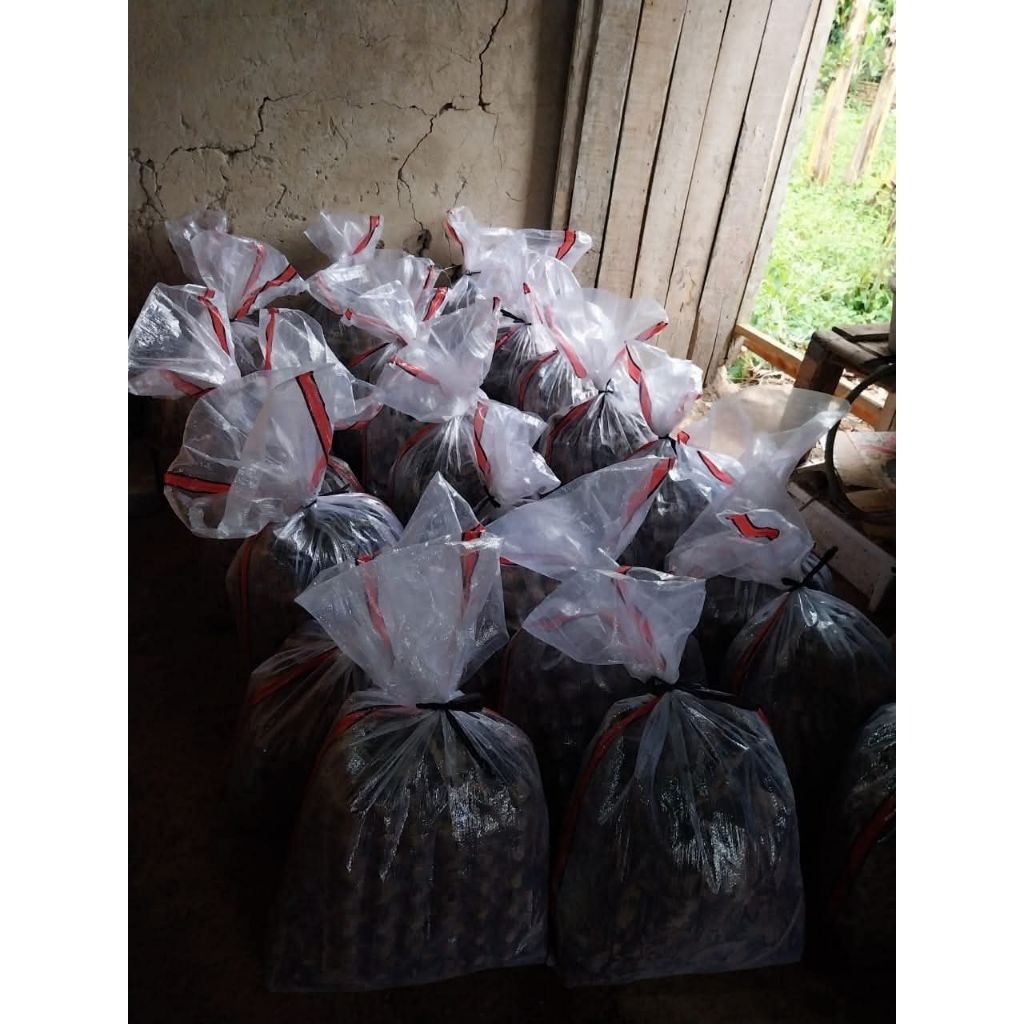 jangkrik alam/sliring 1kg hidup