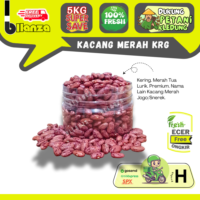 

Bllanzanow | Kacang Merah Kering Lurik Polos / Snerek / Jogo — Sayur Gunung Ecer (H)