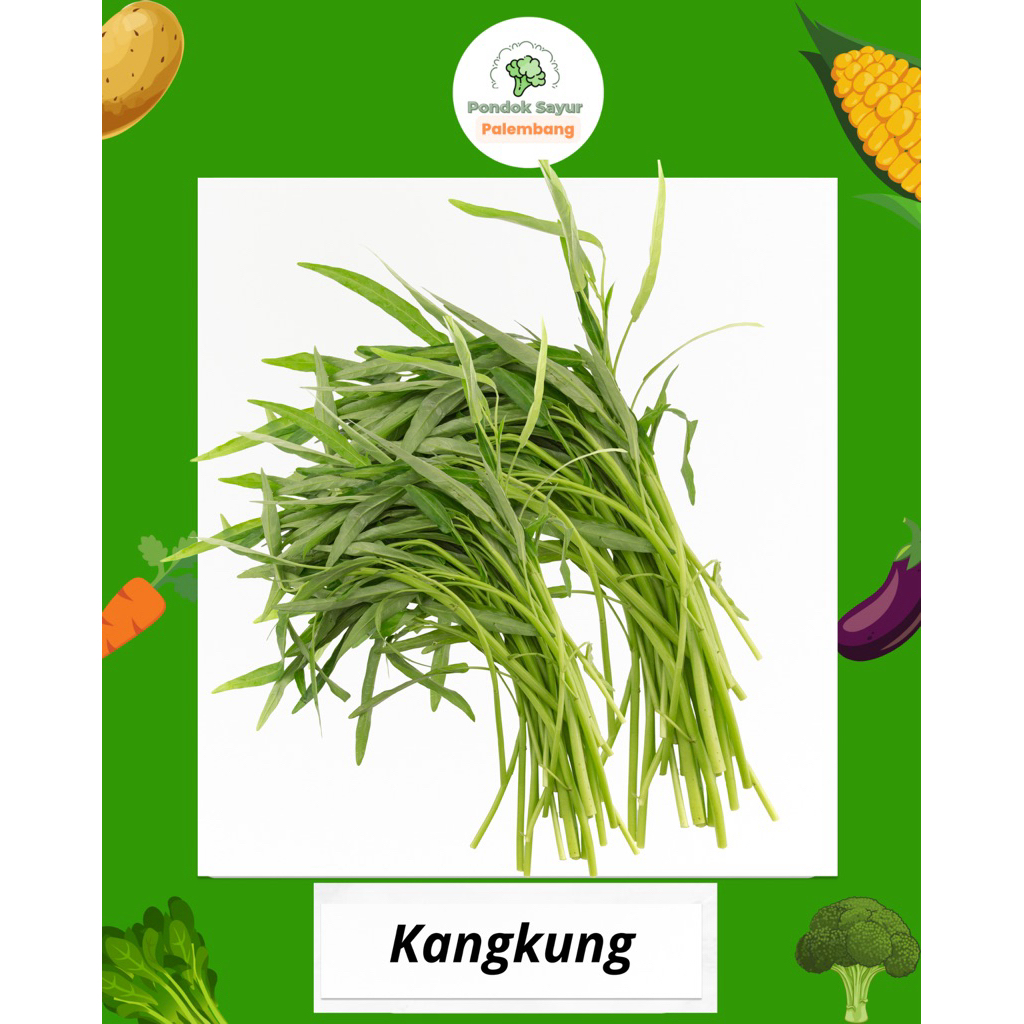 

SAYUR KANGKUNG FRESH PONDOK SAYUR FRESH PALEMBANG