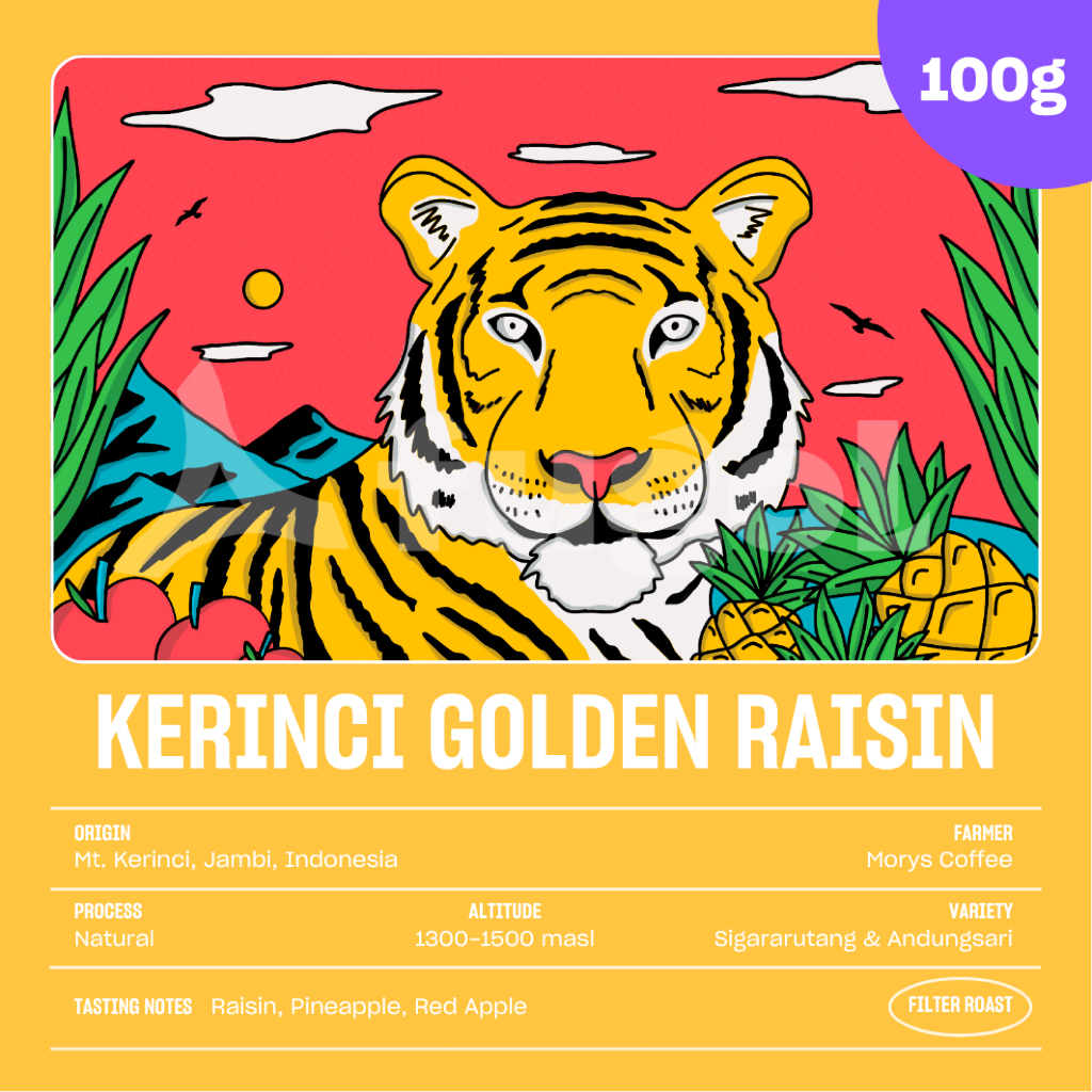 

Kopi Arabika KERINCI GOLDEN RAISIN (100 gr) Single Origin Specialty Coffee Beans Arabica