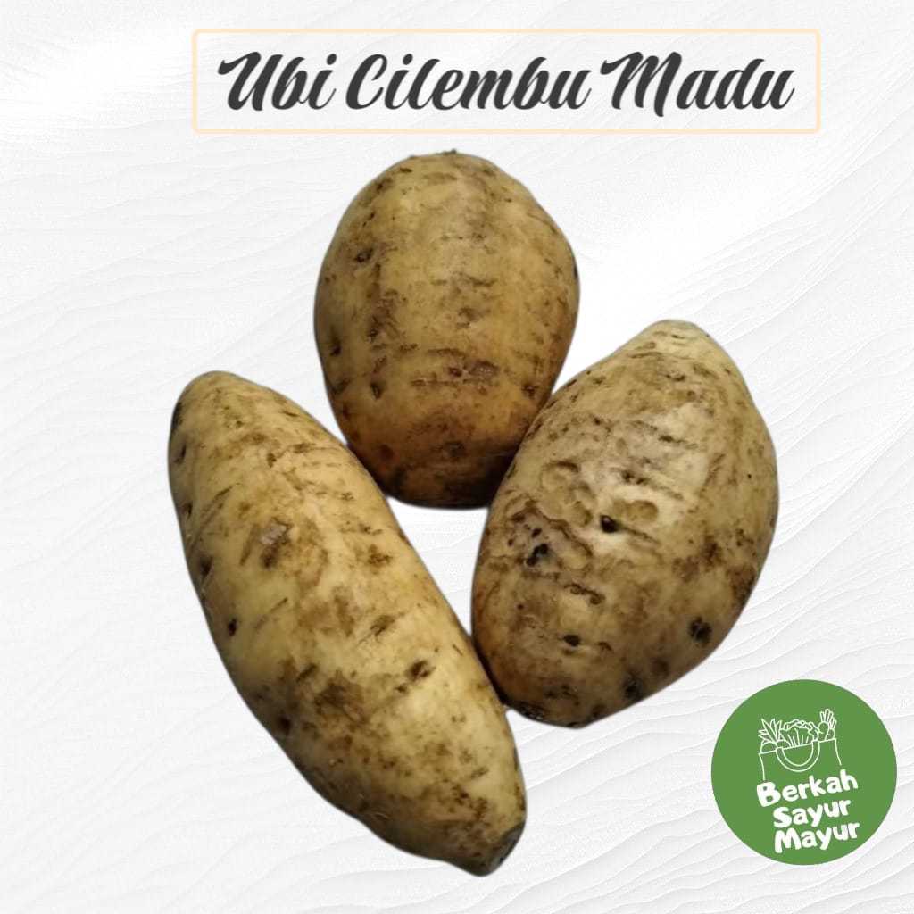 

UBI CILEMBU MADU SUPER MANIS DAN LEGIT HARGA MURAH