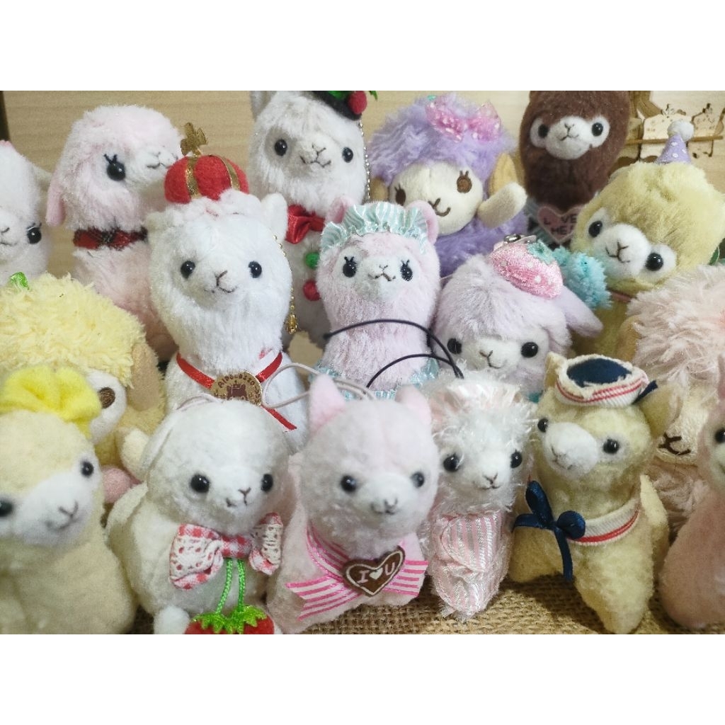 Alpaca Arpakasso Amuse keychain plush Japan original