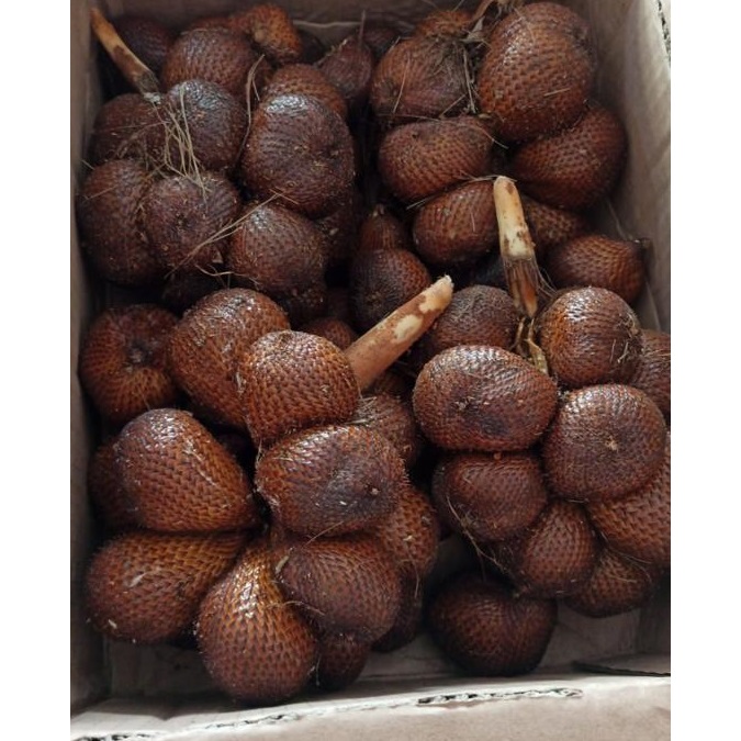 

SALAK GULA PASIR BALI [ 6-9buah/kg ]