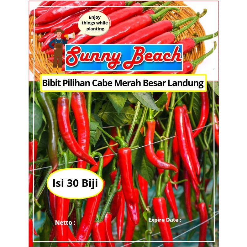 Bibit Pilihan Cabe Merah Besar Landung | Biji Benih Cabe Merah Besar Landung | Cabe Merah Besar