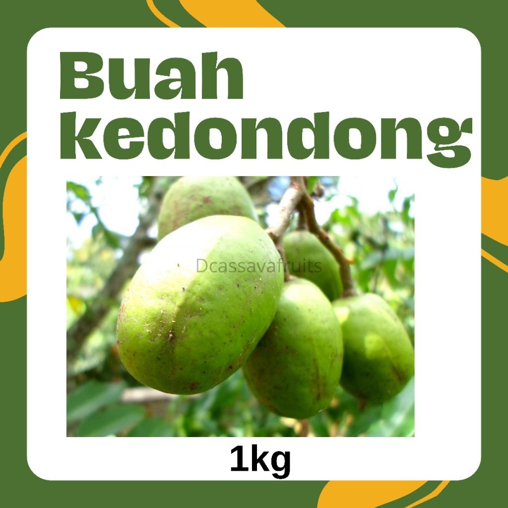 

Buah Kedondong cocok untuk nge rujak
