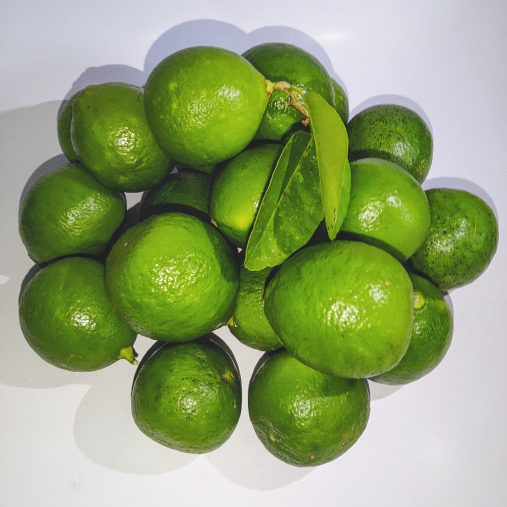 

Jeruk Nipis Segar 1KG | Dipetik Saat Dipesan | Banyak Air, Bantu Imunitas & Masakan Lezat