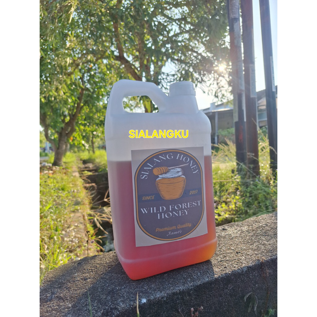 

Madu Sialang Murni 5 Kg Hutan Liar Jambi/ Sialangku Premium