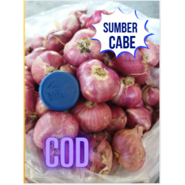 

bawang merah segar di jamin kering taha lama (500gr dan 100gr)harga bersahabat