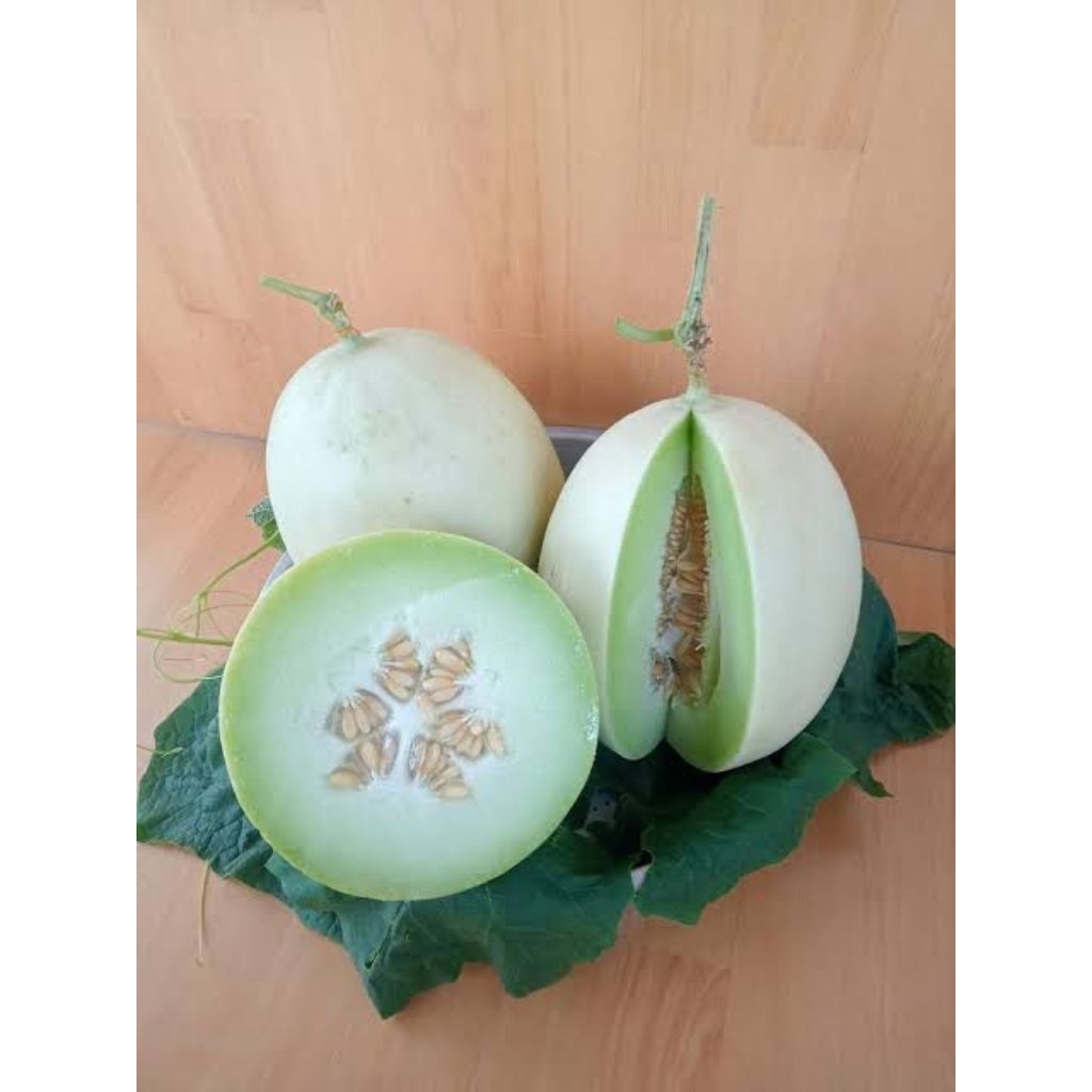 

melon honey salju/kg