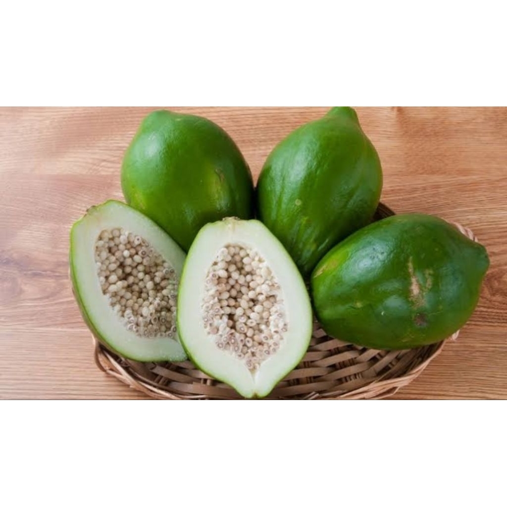 

Buah pepaya mentah 1 buah