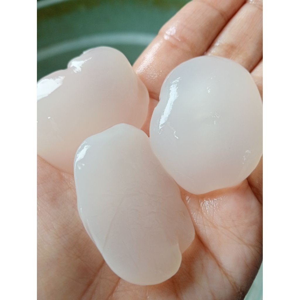 

(paket 2 kg) kolang Kaling dan gula aren asli 100% asli