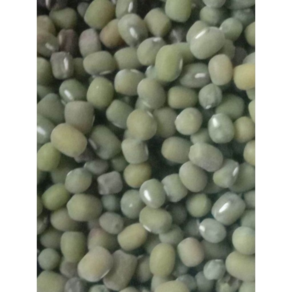 

kacang hijau/kacang ijo/kualitas premium 1 kg - 500 gram