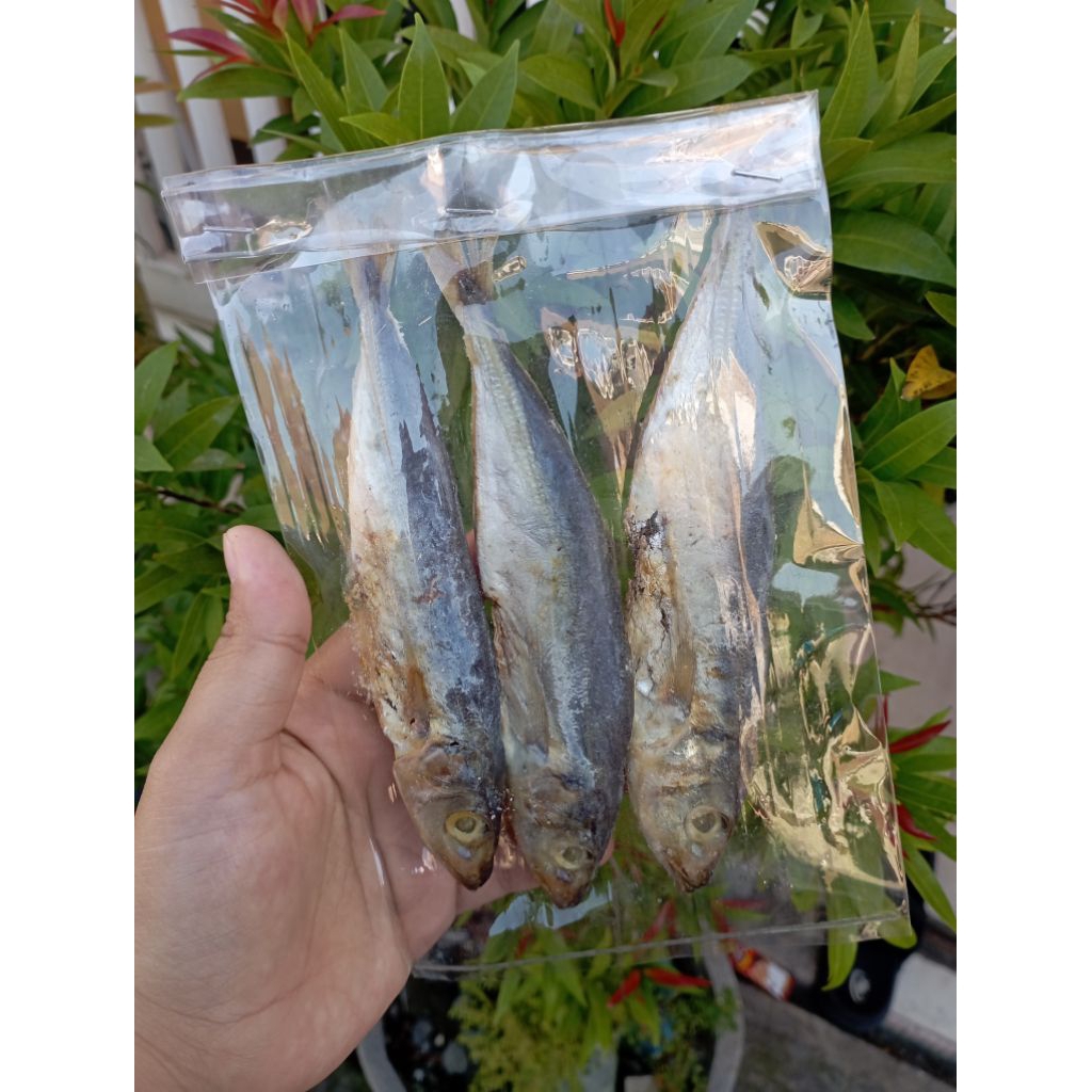 

BERBAGAI VARIAN IKAN ASIN 7500AN